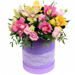 "Элен" (в коробке)